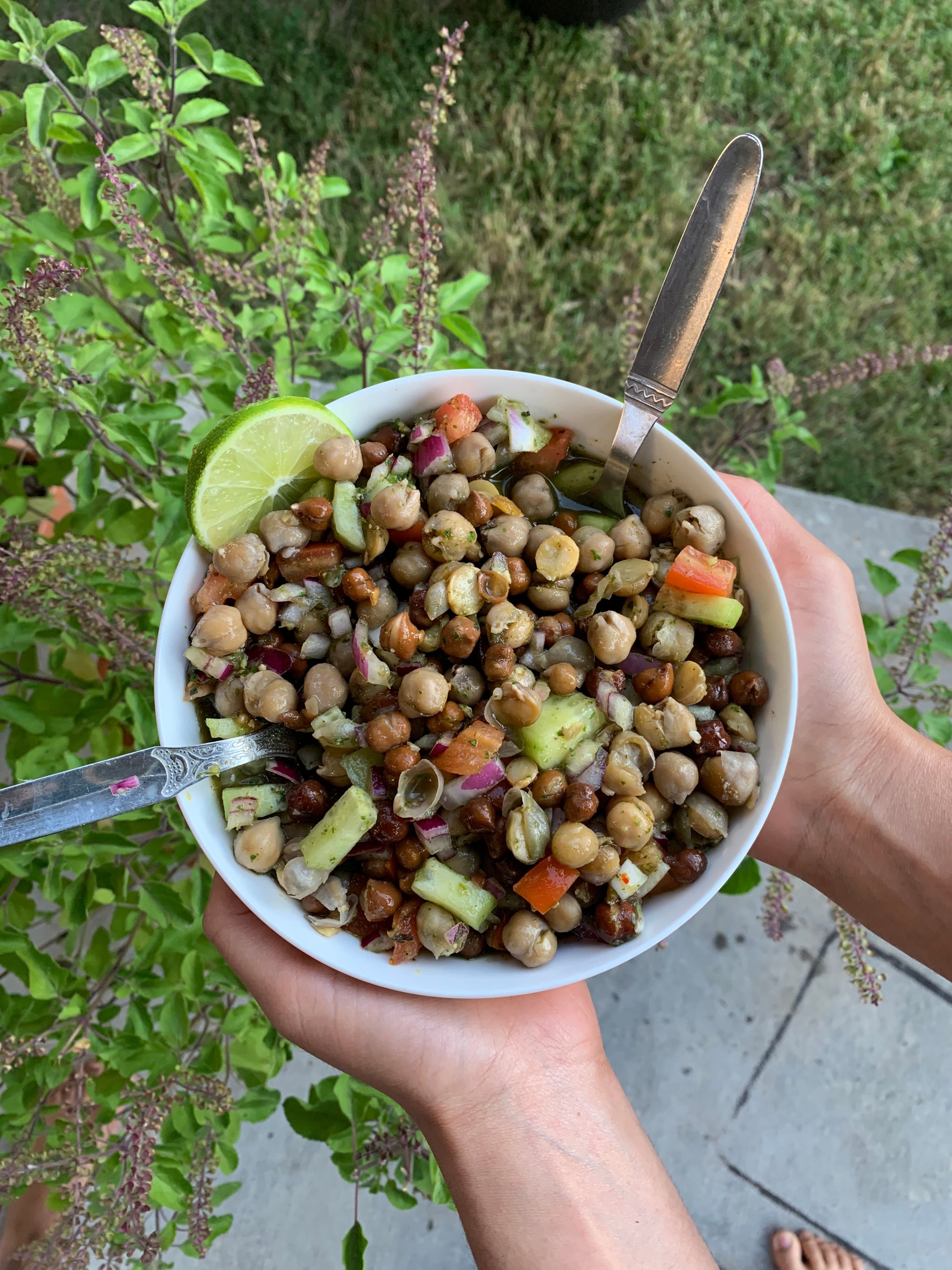 Kala Chana Chaat